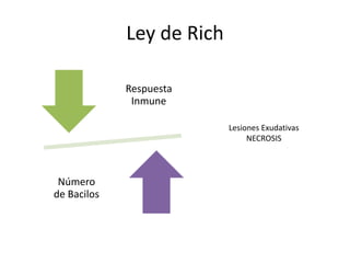 Ley de Rich
Respuesta
Inmune
Número
de Bacilos
Lesiones Exudativas
NECROSIS
 
