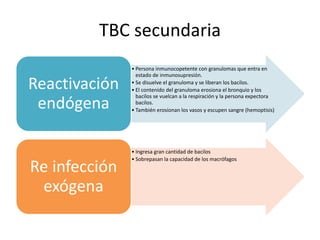 TBC secundaria
• Persona inmunocopetente con granulomas que entra en
estado de inmunosupresión.
• Se disuelve el granuloma y se liberan los bacilos.
• El contenido del granuloma erosiona el bronquio y los
bacilos se vuelcan a la respiración y la persona expectora
bacilos.
• También erosionan los vasos y escupen sangre (hemoptisis)
Reactivación
endógena
• Ingresa gran cantidad de bacilos
• Sobrepasan la capacidad de los macrófagos
Re infección
exógena
 