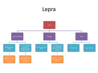 Lepra
Lepra
Agente Etiológico
Micobacterium
Leprae
Gusta de zonas
frías, por eso va a la
piel y no a los
órganos
Es un PIO: Parásito
intracelular
obligado (dentro
del Macrófago)
Se combate con
inmunidad TH1. Es
otro ejemplo de
granuloma
Contagio
Se trasmite por vía
aérea
Por contacto de
piel LESIONADA
(del enfermo y del
receptor)
Debido a la “Pared
de Contención” La
subepidermis
Tipos
Tuberculoide Lepromatosa
 