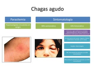 Chagas agudo
Parasitemia
Tripomastigotes circulantes en
sangre
Sintomatología
90% asintomático 10% Sintomático
En la cara, signo de Romania (complejo
oftalmoganglionar): edema bipalpebral
unilateral on adenopatia satélite preauricular
En otras partes del cuerpo, chagoma: Nódulo
eritematoso indurado, que no duele
Ganglios: Adenomegalia
SNC: Neuropatía (en pacientes con SIDA
concomitante)
Miocardiopatía AGUDA (en pacientes con SIDA
concomitante)
 