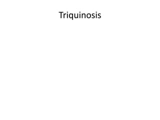 Triquinosis
 