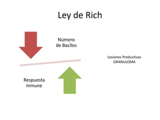Ley de Rich
Número
de Bacilos
Respuesta
Inmune
Lesiones Productivas
GRANULOMA
 
