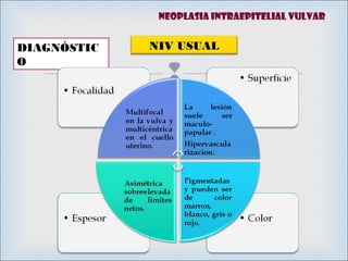 
DIAGNÓSTIC
O
Neoplasia intraepitelial vulvar
NIV USUAL
 