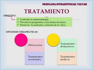 
TRATAMIENTO
OBJETIVO
 Controlar la sintomatología.
 Prevenir la progresión a una lesión invasora.
 Preservar la anatomía y función de la vulva.
OPCIONES TERAPEUTICAS
Neoplasia intraepitelial vulvar
 