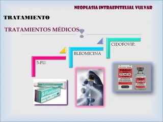 
TRATAMIENTOS MÉDICOS
TRATAMIENTO
Neoplasia intraepitelial vulvar
 