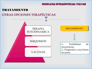 
OTRAS OPCIONES TERAPÉUTICAS
TRATAMIENTO
SEGUIMIENTOSEGUIMIENTO
1.- Posibilidad de
recurrencias.
2.- Progresión a una lesión
invasora.
Neoplasia intraepitelial vulvar
 