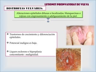 
DISTROFIAS VULVARES:
 Trastornos de crecimiento y diferenciación
epiteliales.
 Potencial maligno es bajo.
 Liquen escleroso e hiperplasia
concomitante : malignidad.
Alteraciones epiteliales difusas o localizadas, blanquecinas o
rojizas con engrosamiento o adelgazamiento de la piel.
Lesiones preinvasoras de vulva
 