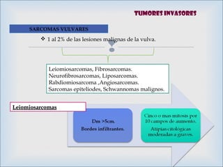 
SARCOMAS VULVARES
 1 al 2% de las lesiones malignas de la vulva.
Leiomiosarcomas, Fibrosarcomas.
Neurofibrosarcomas, Liposarcomas.
Rabdiomiosarcoma ,Angiosarcomas.
Sarcomas epiteliodes, Schwannomas malignos.
LeiomiosarcomasLeiomiosarcomas
Tumores invasores
 
