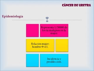 
Cáncer de uretra
Epidemiología
 