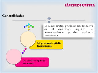 
Cáncer de uretra
Generalidades
El tumor uretral primario más frecuente
es el escamoso, seguido del
adenocarcinoma y del carcinoma
transicional.
 