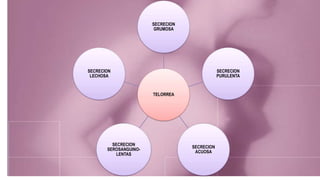 TRASTORNOS FUNCIONALES
TELORREA
SECRECION
GRUMOSA
SECRECION
PURULENTA
SECRECION
ACUOSA
SECRECION
SEROSANGUINO-
LENTAS
SECRECION
LECHOSA
 