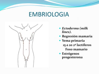 EMBRIOLOGIAEctodermo (milklines).