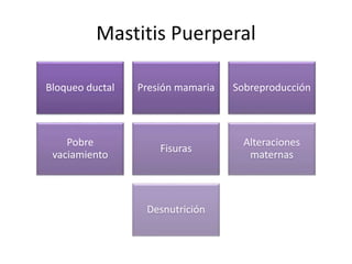 Mastitis Puerperal
Bloqueo ductal Presión mamaria Sobreproducción
Pobre
vaciamiento
Fisuras
Alteraciones
maternas
Desnutrición
 