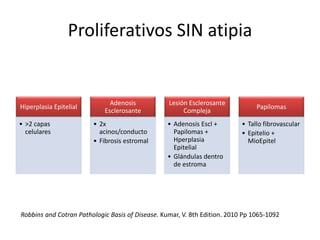 Proliferativos SIN atipia
Hiperplasia Epitelial
• >2 capas
celulares
Adenosis
Esclerosante
• 2x
acinos/conducto
• Fibrosis estromal
Lesión Esclerosante
Compleja
• Adenosis Escl +
Papilomas +
Hperplasia
Epitelial
• Glándulas dentro
de estroma
Papilomas
• Tallo fibrovascular
• Epitelio +
MioEpitel
Robbins and Cotran Pathologic Basis of Disease. Kumar, V. 8th Edition. 2010 Pp 1065-1092
 