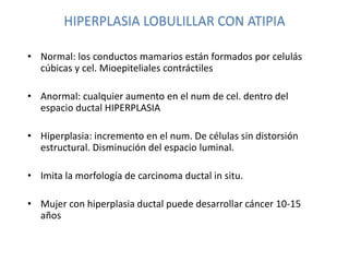 HIPERPLASIA LOBULILLAR CON ATIPIA
• Normal: los conductos mamarios están formados por celulás
cúbicas y cel. Mioepiteliales contráctiles
• Anormal: cualquier aumento en el num de cel. dentro del
espacio ductal HIPERPLASIA
• Hiperplasia: incremento en el num. De células sin distorsión
estructural. Disminución del espacio luminal.
• Imita la morfología de carcinoma ductal in situ.
• Mujer con hiperplasia ductal puede desarrollar cáncer 10-15
años
 