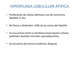 HIPERPLASIA LOBULILLAR ATIPICA
• Proliferación de células idénticas a las del carcinoma
lobulillar in situ
• No llenan o distienden >50% de los acinos del lobulillo
• Se encuentran entre la membrana basal ductal y células
epiteliales ductales normales supraadyacentes.
• Se encuentra de manera incidental. (biopsia)
 