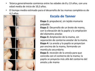 • Telarca generalmente comienza entre las edades de 8 y 13 años, con una
edad media de inicio de 10,3 años.
• El tiempo medio estimado para el desarrollo de las mamas completo es de
4,2 años
Etapa 1: prepuberal, sin tejido mamario
palpable.
Etapa 2: Desarrollo de un brote de mama,
con la elevación de la papila y la ampliación
del diámetro areolar.
Etapa 3: Ampliación de la mama, sin
separación de contorno areolar de la mama.
Etapa 4: La areola y la papila se proyectan
por encima de la mama, formando un
montículo secundario.
Etapa 5: recesión de la areola para que
coincida con el contorno de la mama; la
papila se proyecta más allá del contorno del
areola y de mama
 