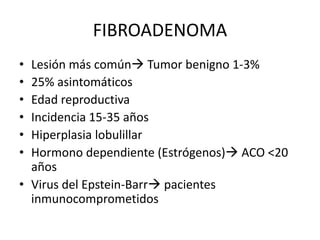 FIBROADENOMA
• Lesión más común Tumor benigno 1-3%
• 25% asintomáticos
• Edad reproductiva
• Incidencia 15-35 años
• Hiperplasia lobulillar
• Hormono dependiente (Estrógenos) ACO <20
años
• Virus del Epstein-Barr pacientes
inmunocomprometidos
 