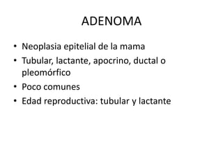 ADENOMA
• Neoplasia epitelial de la mama
• Tubular, lactante, apocrino, ductal o
pleomórfico
• Poco comunes
• Edad reproductiva: tubular y lactante
 