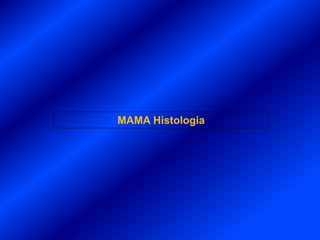 MAMA Histologia
 