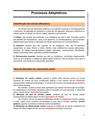 11
Processos Adaptativos
Classificação das Células (Bizozzero)
As células não são elementos estáticos e se adaptam funcional e morfologicamente
a estímulos, da alteração do ambiente e a todo tipo de agressão. Bizozzero classificou as
células quanto ao tempo de vida em: lábeis, estáveis e permanentes.
1) Lábeis: são aquelas que continuam a se multiplicar por toda a vida. Exemplo: células
dos epitélios de revestimento, como as da epiderme, as hematopoiéticas, que se dividem
regularmente para manter a população de células sanguíneas em níveis fisiológicos.
2) Estáveis: aquelas que são capazes de se multiplicar, mas não normalmente
quiescentes, ou seja, diminui o índice mitótico, mas proliferam-se quando estimuladas.
Exemplo: as células parenquimatosas (fígado, pâncreas), mesenquimais (fibroblastos,
células musculares lisas), astrócitos e células endoteliais.
3) Permanentes/ perenes: aquelas que não se multiplicam, conhecidas classicamente
como as que atingiram o estágio de diferenciação terminal e não se dividem mais após o
nascimento, pois perderam a capacidade replicativa.
Tipos de alterações do crescimento celular
1) Alteração do volume celular: quando a célula sofre estímulo acima do normal
(aumento da síntese de seus constituintes básicos e seu volume) tem-se hipertrofia
(excesso/além metabolismo/dimensão). O aumento do volume é acompanhado de aumento
das funções celulares.
Ao contrário, quando a célula sofre agressões que resulta em diminuição da nutrição,
do metabolismo e da síntese necessária para a renovação de suas estruturas, a célula fica
com o volume menor, hipotrofia (pouco/sob).
2) Alteração da taxa de divisão celular: aumento da taxa de divisão celular
acompanhado de diferenciação normal é hiperplasia (formação).
Ao contrário, diminui da taxa de proliferação celular é a hipoplasia.O tempo aplasia
é muito usado como sinônimo de hipoplasia (o que não é correto), exemplo: anemia
aplásica, quando na maioria se trata de anemia hipoplásica.
3) Alterações da diferenciação celular: quando as células de um tecido modificam seu
estado de diferenciação normal, tem-se a metaplasia (variação, mudança).
 