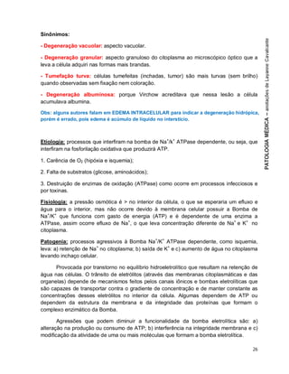 26
Sinônimos:
- Degeneração vacuolar: aspecto vacuolar.
- Degeneração granular: aspecto granuloso do citoplasma ao microscópico óptico que a
leva a célula adquiri nas formas mais brandas.
- Tumefação turva: células tumefeitas (inchadas, tumor) são mais turvas (sem brilho)
quando observadas sem fixação nem coloração.
- Degeneração albuminosa: porque Virchow acreditava que nessa lesão a célula
acumulava albumina.
Obs: alguns autores falam em EDEMA INTRACELULAR para indicar a degeneração hidrópica,
porém é errado, pois edema é acúmulo de líquido no interstício.
Etiologia: processos que interfiram na bomba de Na+
/k+
ATPase dependente, ou seja, que
interfiram na fosforilação oxidativa que produzirá ATP.
1. Carência de O2 (hipóxia e isquemia);
2. Falta de substratos (glicose, aminoácidos);
3. Destruição de enzimas de oxidação (ATPase) como ocorre em processos infecciosos e
por toxinas.
Fisiologia: a pressão osmótica é > no interior da célula, o que se esperaria um efluxo e
água para o interior, mas não ocorre devido à membrana celular possuir a Bomba de
Na+
/K+
que funciona com gasto de energia (ATP) e é dependente de uma enzima a
ATPase, assim ocorre efluxo de Na+
, o que leva concentração diferente de Na+
e K+
no
citoplasma.
Patogenia: processos agressivos à Bomba Na+
/K+
ATPase dependente, como isquemia,
leva: a) retenção de Na+
no citoplasma; b) saída de K+
e c) aumento de água no citoplasma
levando inchaço celular.
Provocada por transtorno no equilíbrio hidroeletrolítico que resultam na retenção de
água nas células. O trânsito de eletrólitos (através das membranas citoplasmáticas e das
organelas) depende de mecanismos feitos pelos canais iônicos e bombas eletrolíticas que
são capazes de transportar contra o gradiente de concentração e de manter constante as
concentrações desses eletrólitos no interior da célula. Algumas dependem de ATP ou
dependem da estrutura da membrana e da integridade das proteínas que formam o
complexo enzimático da Bomba.
Agressões que podem diminuir a funcionalidade da bomba eletrolítica são: a)
alteração na produção ou consumo de ATP; b) interferência na integridade membrana e c)
modificação da atividade de uma ou mais moléculas que formam a bomba eletrolítica.
 