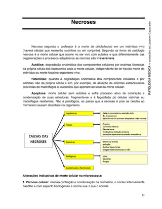 33
Necroses
Necrose segundo o professor é a morte de célula/tecido em um indivíduo vivo
(haverá células que morrerão sozinhas ou em conjunto). Segundo os livros de patologia
necrose é a morte celular que ocorre no ser vivo com autólise e que diferentemente das
degenerações e processos adaptativos as necrose são irreversíveis.
Autólise: degradação enzimática dos componentes celulares por enzimas liberadas
da própria célula dos lisossomos após a morte celular, independente de ter havido morte do
indivíduo ou morte focal no organismo vivo.
Heterólise: quando a degradação enzimática dos componentes celulares é por
enzimas não da própria célula e sim, por exemplo, da atuação de enzimas extracelulares
provindas de macrófagos e leucócitos que aportam ao local da morte celular.
Apoptose: morte celular sem autólise e sofre processo ativo de contração e
condensação de suas estruturas, fragmenta-se e é fagocitada pó células vizinhas ou
macrófagos residentes. Não é patológica, ao passo que a necrose é pois as células ao
morrerem causam distúrbios no organismo.
Alterações indicativas de morte celular na microscopia:
1. Picnose celular: intensa contração e condensação da cromatina, o núcleo intensamente
basófilo e com aspecto homogêneo e ocorre sua < que o normal.
 
