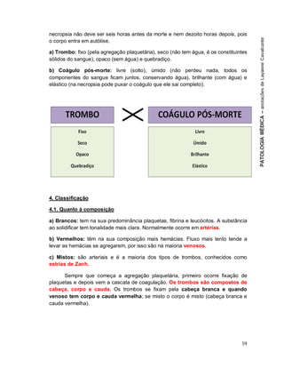 59
necropsia não deve ser seis horas antes da morte e nem dezoito horas depois, pois
o corpo entra em autólise.
a) Trombo: fixo (pela agregação plaquetária), seco (não tem água, é os constituintes
sólidos do sangue), opaco (sem água) e quebradiço.
b) Coágulo pós-morte: livre (solto), úmido (não perdeu nada, todos os
componentes do sangue ficam juntos, conservando água), brilhante (com água) e
elástico (na necropsia pode puxar o coágulo que ele sai completo).
4. Classificação
4.1. Quanto à composição
a) Brancos: tem na sua predominância plaquetas, fibrina e leucócitos. A substância
ao solidificar tem tonalidade mais clara. Normalmente ocorre em artérias.
b) Vermelhos: têm na sua composição mais hemácias. Fluxo mais lento tende a
levar as hemácias se agregarem, por isso são na maioria venosos.
c) Mistos: são arteriais e é a maioria dos tipos de trombos, conhecidos como
estrias de Zanh.
Sempre que começa a agregação plaquetária, primeiro ocorre fixação de
plaquetas e depois vem a cascata de coagulação. Os trombos são compostos de
cabeça, corpo e cauda. Os trombos se fixam pela cabeça branca e quando
venoso tem corpo e cauda vermelha; se misto o corpo é misto (cabeça branca e
cauda vermelha).
 