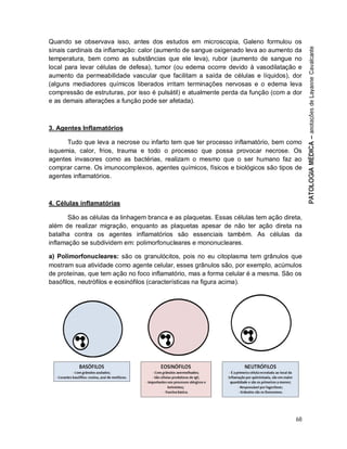 68
Quando se observava isso, antes dos estudos em microscopia, Galeno formulou os
sinais cardinais da inflamação: calor (aumento de sangue oxigenado leva ao aumento da
temperatura, bem como as substâncias que ele leva), rubor (aumento de sangue no
local para levar células de defesa), tumor (ou edema ocorre devido à vasodilatação e
aumento da permeabilidade vascular que facilitam a saída de células e líquidos), dor
(alguns mediadores químicos liberados irritam terminações nervosas e o edema leva
compressão de estruturas, por isso é pulsátil) e atualmente perda da função (com a dor
e as demais alterações a função pode ser afetada).
3. Agentes Inflamatórios
Tudo que leva a necrose ou infarto tem que ter processo inflamatório, bem como
isquemia, calor, frios, trauma e todo o processo que possa provocar necrose. Os
agentes invasores como as bactérias, realizam o mesmo que o ser humano faz ao
comprar carne. Os imunocomplexos, agentes químicos, físicos e biológicos são tipos de
agentes inflamatórios.
4. Células inflamatórias
São as células da linhagem branca e as plaquetas. Essas células tem ação direta,
além de realizar migração, enquanto as plaquetas apesar de não ter ação direta na
batalha contra os agentes inflamatórios são essenciais também. As células da
inflamação se subdividem em: polimorfonucleares e mononucleares.
a) Polimorfonucleares: são os granulócitos, pois no eu citoplasma tem grânulos que
mostram sua atividade como agente celular, esses grânulos são, por exemplo, acúmulos
de proteínas, que tem ação no foco inflamatório, mas a forma celular é a mesma. São os
basófilos, neutrófilos e eosinófilos (características na figura acima).
 