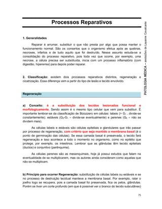 75
Processos Reparativos
1. Generalidades
Reparar é arrumar, substituir o que não presta por algo que possa manter o
funcionamento normal. São os consertos que o organismo efetua após as quebras,
necroses, infartos e de tudo aquilo que foi destruído. Nesse assunto estuda-se a
consolidação do processo reparativo, pois toda vez que ocorre, por exemplo, uma
necrose, a célula precisa ser substituída, inicia com um processo inflamatório (com
digestão, hiperemia) para depois poder reparar.
2. Classificação: existem dois processos reparativos distintos, regeneração e
cicatrização. Essa diferença vem a partir do tipo de lesão e tecido envolvido.
Regeneração
a) Conceito: é a substituição dos tecidos lesionados funcional e
morfologicamente. Sendo assim é o mesmo tipo celular que vem para substituir. É
importante lembrar-se da classificação de Bizozzero em células: labeis (> G1 – divide-se
constantemente); estáveis (G0-G1 – divide-se eventualmente) e perenes (G0 – não se
dividem mais).
As células labeis e estáveis são células epiteliais e glandulares que irão passar
por processo de regeneração, com critério que seja mantido a membrana basal (é o
ponto de germinação das células). Se essa camada basal é preservada, o tecido fará
regeneração e isso acontece a todo o momento no organismo, como no epitélio que
protege, por exemplo, os intestinos. Lembrar que as glândulas têm tecido epiteliais
(ductos) e conjuntivo (parênquima).
As células perenes são as mesenquimais, hoje já possui estudos que falam na
eventualidade de se multiplicarem, mas os autores ainda consideram como aquelas que
não se multiplicam.
b) Princípio para ocorrer Regeneração: substituição de células labeis ou estáveis e se
no processo de destruição tecidual manteve a membrana basal. Por exemplo, ralar o
joelho logo se recupera, pois a camada basal foi preservada, fica os pelos, glândulas.
Porém se tiver um corte profundo (em que é possível ver o branco do tecido subcutâneo)
 