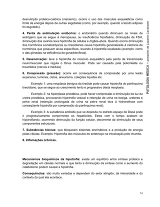 14
desnutrição protéico-calórica (marasmo), ocorre o uso dos músculos esqueléticos como
fonte de energia depois de outras esgotadas (como, por exemplo, quando o tecido adiposo
foi esgotado).
4. Perda da estimulação endócrina: o endométrio quando diminuem os níveis de
estrógeno que se segue à menopausa, ou insuficiência hipofisária, diminuição de FSH,
diminuição dos ovários leva hipotrofia de células e órgãos-alvos. Quando ocorre diminuição
dos hormônios somatotrópicos ou tireoidianos causa hipotrofia generalizada à carência de
hormônios que possuem alvos específicos, levando à hipotrofia localizada (exemplo: como
o das gônadas na deficiência de gonadotrofinas).
5. Desenervação: leva a hipotrofia do músculo esquelético pela perda da transmissão
neuromuscular que regula o tônus muscular. Pode ser causada pela poliomielite ou
traumática (nervos e medula).
6. Compressão (pressão): ocorre em consequência da compressão por uma lesão
expansiva, tumores, cistos, aneurisma, coleções líquidas etc.
Exemplo 1: uma neoplasia benigna da tireóide pode causar hipotrofia do parênquima
tireoidiano, que se segue ao crescimento lento e progressivo desta neoplasia.
Exemplo 2: na hiperplasia prostática, pode haver compressão e diminuição da luz da
uretra prostática, provocando hipertrofia vesical e retenção de urina na bexiga, ureteres e
pelve renal (retenção prolongada de urina na pelve renal leva à hidronefrose com
conseqüente hipotrofia por compressão do parênquima renal).
Exemplo 3: A substância amilóide que se deposita no estreito espaço de Disse pode
ir progressivamente comprimindo os hepatócitos. Estes com o tempo acabam se
hipotrofiando, ocorrendo diminuição da função celular, decorrente da diminuição de seus
componentes estruturais.
7. Substâncias tóxicas: que bloqueiam sistemas enzimáticos e a produção de energia
pelas células. Exemplo: Hipotrofia dos músculos do antebraço na intoxicação pelo chumbo.
8. Inflamações crônicas.
Mecanismos bioquímicos da hipotrofia: existe um equilíbrio entre síntese protéica e
degradação em células normais e que tanto a diminuição da síntese como o aumento do
catabolismo podem causar a hipotrofia.
Consequências: são muito variadas e dependem do setor atingido, da intensidade e do
contexto do qual ela acontece.
 