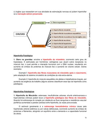 16
c) órgãos que necessitam em sua atividade de estimulação nervosa só podem hipertrofiar
se a inervação estiver preservada.
Hipertrofia Fisiológica
1. Útero na gravidez: envolve a hipertrofia do miométrio, ocorrendo certo grau de
hiperplasia. É estimulada por hormônios: estrógenos que atuam sobre receptores no
músculo liso, o qual permite a interação hormonal com o DNA nuclear, resultando em
aumento da síntese de proteínas do músculo liso e aumento do volume celular. Outros
exemplos:
Exemplo1: hipertrofia das fibras musculares do miocárdio após o nascimento,
pela adaptação do sistema circulatório às condições da vida extra-uterina.
Exemplo 2: hipertrofia do músculo esquelético de atletas e trabalhadores braçais, por
aumento da exigência de trabalho (alguns autores classificam esse tipo de hipertrofia como
patológica).
Hipertrofias Patológicas
1. Hipertrofia do Miocárdio: estenoses, insuficiências valvares, shunts arteriovenosos e
hipervolemias crônicas podem levar a hipertrofia patológica das fibras do miocárdio.
Quando há sobrecarga do coração por obstáculo ao fluxo sanguíneo e resistência vascular
periférica aumentada a parede cardíaca sofre hipertrofia, às vezes pronunciada.
O estímulo geralmente é a sobrecarga hemodinâmica crônica causa pela
hipertensão arterial sistêmica ou por valvas defeituosas, ocorrendo aumento da síntese de
proteínas e filamentos, atingindo um equilíbrio entre a demanda e a capacidade funcional
da célula.
 