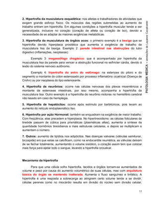 17
2. Hipertrofia da musculatura esquelética: nos atletas e trabalhadores de atividades que
exigem grande esforço físico. Os músculos das regiões submetidas ao aumento de
trabalho entram em hipertrofia. Em algumas condições a hipertrofia muscular tende a ser
generalizada, inclusive no coração (coração de atleta ou coração de boi), devido a
necessidade de se adaptar às maiores exigências metabólicas.
3. Hipertrofia da musculatura de órgãos ocos: o primeiro exemplo é a bexiga que se
hipertrofia devido hiperplasia prostática que aumenta a exigência de trabalho da
musculatura lisa da bexiga. Exemplo 2: parede intestinal nas obstruções do tubo
digestivo (inflamações, neoplasias).
Exemplo 3: megaesôfago chagásico: que é acompanhado por hipertrofia da
musculatura lisa da parede para vencer a obstrução funcional no esfíncter cárdia, devido à
lesão do sistema nervoso autônomo.
Exemplo 4: hipertrofia do antro do estômago: na estenose do piloro e do
segmento a montante do cólon estenosado por processo inflamatório cicatricial (Doença de
Crohn) ou por neoplasia do tipo estenosante.
4. Hipertrofia de neurônios: ocorre nas células nervosas dos plexos mioentéricos a
montante de estenoses intestinais, por isso mesmo, acompanha a hipertrofia da
musculatura lisa. Outro exemplo é a hipertrofia de neurônio motores no hemisfério cerebral
não lesado em caso de hemiplegia.
5. Hipertrofia de hepatócitos: ocorre após estímulo por barbitúricos, pois levam ao
aumento do retículo endoplasmático liso.
6. Hipertrofia por ação Hormonal: também se enquadram na exigência de maior trabalho.
Com freqüência, elas precedem a hiperplasia. No hipertireoidismo: as células foliculares da
tireóide passam de cúbica para prismáticas (plasmáticas altas), aumenta a síntese da
quantidade hormônios tireoidianos e mais estruturas celulares, e depois se multiplicam e
aumentam o número.
7. Outros: aumento de lipídios nos adipócitos. Nas doenças valvares (válvulas semilunar,
bicúspide) em que estas se calcificam, como na endocardite reumática, as válvulas deixam
de se fechar totalmente, aumentando o volume sistólico, o coração assim tem que colocar
mais força para ejetar todo o sangue, levando a hipertrofia orovalvar.
Mecanismo da hipertrofia
Para que uma célula sofra hipertrofia, tecidos e órgãos tornam-se aumentados de
volume e peso por causa do aumento volumétrico de suas células, mas com arquitetura
básica do órgão se mantendo inalterada. Aumenta o fluxo sanguíneo e linfático. A
hipertrofia é uma resposta a sobrecarga ao atingirem certo volume tende a se dividir,
células perenes como no miocárdio resulta em divisão do núcleo sem divisão celular,
 