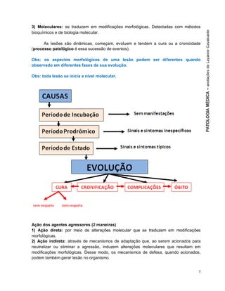 7
3) Moleculares: se traduzem em modificações morfológicas. Detectadas com métodos
bioquímicos e de biologia molecular.
As lesões são dinâmicas, começam, evoluem e tendem a cura ou a cronicidade
(processo patológico é essa sucessão de eventos).
Obs: os aspectos morfológicos de uma lesão podem ser diferentes quando
observado em diferentes fases de sua evolução.
Obs: toda lesão se inicia a nível molecular.
Ação dos agentes agressores (2 maneiras)
1) Ação direta: por meio de alterações molecular que se traduzem em modificações
morfológicas.
2) Ação indireta: através de mecanismos de adaptação que, ao serem acionados para
neutralizar ou eliminar a agressão, induzem alterações moleculares que resultam em
modificações morfológicas. Desse modo, os mecanismos de defesa, quando acionados,
podem também gerar lesão no organismo.
 