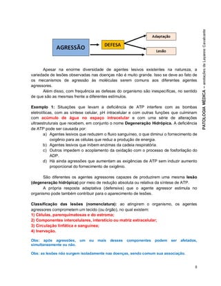 8
Apesar na enorme diversidade de agentes lesivos existentes na natureza, a
variedade de lesões observadas nas doenças não é muito grande. Isso se deve ao fato de
os mecanismos de agressão às moléculas serem comuns aos diferentes agentes
agressores.
Além disso, com frequência as defesas do organismo são inespecíficas, no sentido
de que são as mesmas frente a diferentes estímulos.
Exemplo 1: Situações que levam a deficiência de ATP interfere com as bombas
eletrolíticas, com as síntese celular, pH intracelular e com outras funções que culminam
com acúmulo de água no espaço intracelular e com uma série de alterações
ultraestruturais que recebem, em conjunto o nome Degeneração Hidrópica. A deficiência
de ATP pode ser causada por:
a) Agentes lesivos que reduzem o fluxo sanguíneo, o que diminui o fornecimento de
oxigênio para as células que reduz a produção de energia.
b) Agentes lesivos que inibem enzimas da cadeia respiratória.
c) Outros impedem o acoplamento da oxidação com o processo de fosforilação do
ADP.
d) Há ainda agressões que aumentam as exigências de ATP sem induzir aumento
proporcional do fornecimento de oxigênio.
São diferentes os agentes agressores capazes de produzirem uma mesma lesão
(degeneração hidrópica) por meio de redução absoluta ou relativa da síntese de ATP.
A própria resposta adaptativa (defensiva) que o agente agressor estimula no
organismo pode também contribuir para o aparecimento de lesões.
Classificação das lesões (nomenclatura): ao atingirem o organismo, os agentes
agressores comprometem um tecido (ou órgão), no qual existem:
1) Células, parenquimatosas e do estroma;
2) Componentes intercelulares, interstício ou matriz extracelular;
3) Circulação linfática e sanguínea;
4) Inervação.
Obs: após agressões, um ou mais desses componentes podem ser afetados,
simultaneamente ou não.
Obs: as lesões não surgem isoladamente nas doenças, sendo comum sua associação.
 