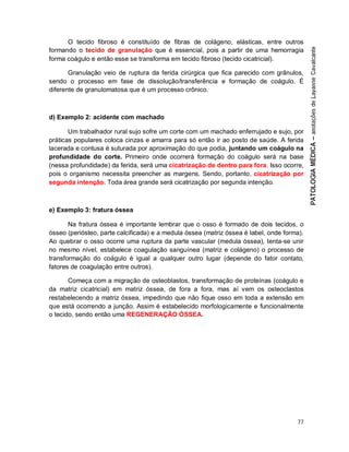77
O tecido fibroso é constituído de fibras de colágeno, elásticas, entre outros
formando o tecido de granulação que é essencial, pois a partir de uma hemorragia
forma coágulo e então esse se transforma em tecido fibroso (tecido cicatricial).
Granulação veio de ruptura da ferida cirúrgica que fica parecido com grânulos,
sendo o processo em fase de dissolução/transferência e formação de coágulo. É
diferente de granulomatosa que é um processo crônico.
d) Exemplo 2: acidente com machado
Um trabalhador rural sujo sofre um corte com um machado enferrujado e sujo, por
práticas populares coloca cinzas e amarra para só então ir ao posto de saúde. A ferida
lacerada e contusa é suturada por aproximação do que podia, juntando um coágulo na
profundidade do corte. Primeiro onde ocorrerá formação do coágulo será na base
(nessa profundidade) da ferida, será uma cicatrização de dentro para fora. Isso ocorre,
pois o organismo necessita preencher as margens. Sendo, portanto, cicatrização por
segunda intenção. Toda área grande será cicatrização por segunda intenção.
e) Exemplo 3: fratura óssea
Na fratura óssea é importante lembrar que o osso é formado de dois tecidos, o
ósseo (periósteo, parte calcificada) e a medula óssea (matriz óssea é label, onde forma).
Ao quebrar o osso ocorre uma ruptura da parte vascular (medula óssea), tenta-se unir
no mesmo nível, estabelece coagulação sanguínea (matriz e colágeno) o processo de
transformação do coágulo é igual a qualquer outro lugar (depende do fator contato,
fatores de coagulação entre outros).
Começa com a migração de osteoblastos, transformação de proteínas (coágulo e
da matriz cicatricial) em matriz óssea, de fora a fora, mas aí vem os osteoclastos
restabelecendo a matriz óssea, impedindo que não fique osso em toda a extensão em
que está ocorrendo a junção. Assim é estabelecido morfologicamente e funcionalmente
o tecido, sendo então uma REGENERAÇÃO ÓSSEA.
 
