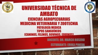 UNIVERSIDAD TÉCNICA DE
AMBATO
CIENCIAS AGROPECUARIAS
MEDICINA VETERINARIA Y ZOOTECNIA
PATOLOGÍA MEDICA
TIPOS SANGUÍNEOS
(CANINOS, FELINOS, BOVINOS, EQUINOS)
DOCENTE: DR. MARCO ROSERO
ESTUDIANTE: ERIKA PINEDA
SÉPTIMO “B”
 