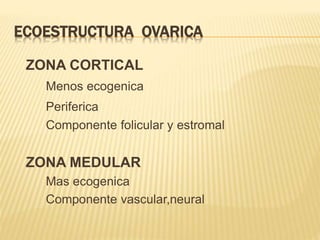 ECOESTRUCTURA OVARICA
ZONA CORTICAL
Menos ecogenica
Periferica
Componente folicular y estromal
ZONA MEDULAR
Mas ecogenica
Componente vascular,neural
 