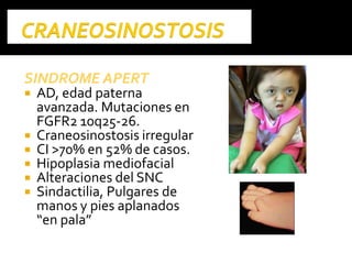 SINDROME APERTSINDROME APERT
 AD, edad paterna
avanzada. Mutaciones en
FGFR2 10q25-26.
 Craneosinostosis irregular
 CI >70% en 52% de casos.
 Hipoplasia mediofacial
 Alteraciones del SNC
 Sindactilia, Pulgares de
manos y pies aplanados
“en pala”
 