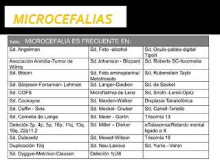Tabla MICROCEFALIA ES FRECUENTE EN:
Sd. Angelman Sd. Feto -alcohol Sd. Oculo-palato-digital
TipoII
Asociación Aniridia-Tumor de
Wilms
Sd Johanson - Blizzard Sd. Roberts SC-focomelia
Sd. Bloom Sd. Feto aminopterina/
Metotrexate
Sd. Rubenstein Taybi
Sd. Börjeson-Forssman- Lehman Sd. Langer-Giedion Sd. de Seckel
Sd. COFS Microftalmia de Lenz Sd. Smith -Lemli-Opitz
Sd. Cockayne Sd. Marden-Walker Displasia Tanatofórica
Sd. Coffin - Siris Sd. Meckel- Gruber Sd. Cariell-Toriello
Sd. Cornelia de Lange Sd. Meier - Gorlin Trisomía 13
Deleción 3p, 4p, 5p, 18p, 11q, 13q,
18q, 22q11.2
Sd. Miller – Dieker αTalasemia/Retardo mental
ligado a X
Sd. Dubowitz Sd. Mowat-Wilson Trisomía 18
Duplicación 10q Sd. Neu-Laxova Sd. Yunis –Varon
Sd. Dyggve-Melchior-Clausen Deleción 1p36
 