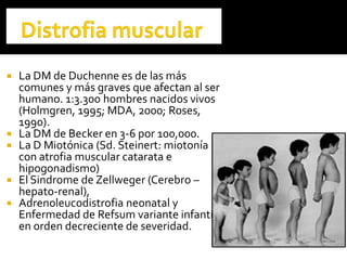  La DM de Duchenne es de las más
comunes y más graves que afectan al ser
humano. 1:3.300 hombres nacidos vivos
(Holmgren, 1995; MDA, 2000; Roses,
1990).
 La DM de Becker en 3-6 por 100,000.
 La D Miotónica (Sd. Steinert: miotonía
con atrofia muscular catarata e
hipogonadismo)
 El Sindrome de Zellweger (Cerebro –
hepato-renal),
 Adrenoleucodistrofia neonatal y
Enfermedad de Refsum variante infantil,
en orden decreciente de severidad.
 