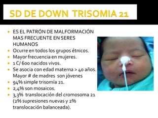 ES EL PATRÓN DE MALFORMACIÓN
MAS FRECUENTE EN SERES
HUMANOS
 Ocurre en todos los grupos étnicos.
 Mayor frecuencia en mujeres.
 1 C/ 600 nacidos vivos.
 Se asocia con edad materna > 40 años.
Mayor # de madres son jóvenes
 94% simple trisomía 21.
 2,4% son mosaicos.
 3,3% translocación del cromosoma 21
(2% supresiones nuevas y 2%
translocación balanceada).
 