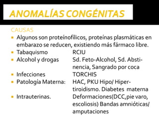 CAUSASCAUSAS
 Algunos son proteínofílicos, proteínas plasmáticas en
embarazo se reducen, existiendo más fármaco libre.
 Tabaquismo RCIU
 Alcohol y drogas Sd. Feto-Alcohol, Sd. Absti-
nencia, Sangrado por coca
 Infecciones TORCHIS
 Patología Materna: HAC, PKU Hipo/ Hiper-
tiroidismo. Diabetes materna
 Intrauterinas. Deformaciones(DCC,pie varo,
escoliosis) Bandas amnióticas/
amputaciones
 