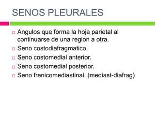 SENOS PLEURALESAngulosque forma la hoja parietal al continuarse de una region a otra.Seno costodiafragmatico. Seno costomedial anterior.Seno costomedial posterior.Seno frenicomediastinal. (mediast-diafrag)
