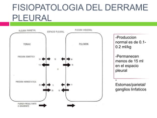 FISIOPATOLOGIA DEL DERRAME PLEURAL-Produccion normal es de 0.1- 0.2 ml/kg-Permanecenmenos de 15 ml en el espacio pleural-Estomas/parietal/ganglioslinfaticos