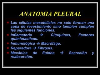ANATOMIA PLEURAL Las células mesoteliales no solo forman una capa de revestimiento sino también cumplen las siguientes funciones: Inflamatoria    Citoquinas, Factores quimiotacticos. Inmunológica    Macrófago. Reparadora    Fibrosis. Mecánica de fluidos    Secreción y reabsorción. 