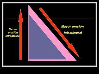 Mayor presión  intrapleural Menor presión intrapleural 