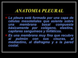 ANATOMIA PLEURAL La pleura está formada por una capa de células mesoteliales que asienta sobre una membrana basal compuesta básicamente por colágeno, elastina, capilares sanguíneos y linfáticos.  Es una membrana muy fina que recubre al pulmón con sus cisuras, al mediastino, al diafragma y a la pared costal.   