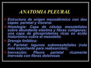 ANATOMIA PLEURAL Estructura de origen mesodérmico con dos capas: parietal y visceral. Histología: Capa de células mesoteliales sobre abundante elastina y fibras colágenas; una capa de glicoproteínas ricas en ácido hialurónico cubre el mesotelio. Drenaje linfático:  P. Parietal: lagunas submesoteliales (ruta más importante para reabsorción);  Inervaciòn: Pleura parietal ricamente inervada con fibras dolorosas 