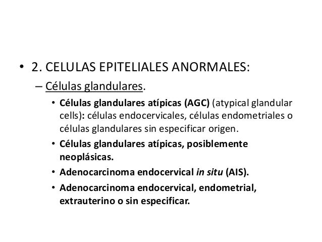 clasificacion cacu figo pdf